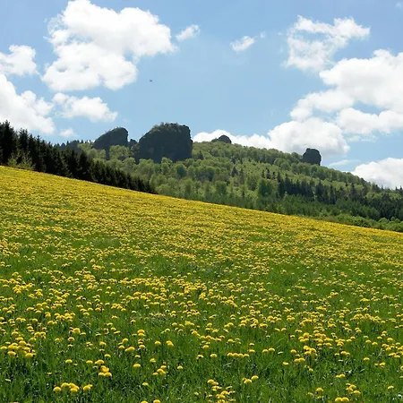 Fachwerkliebe Ornes 1 Olsberg