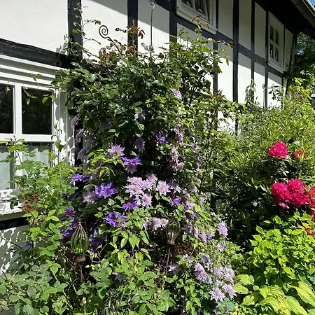 Fachwerkliebe Ornes 1 Apartment